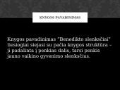 Laura Sintija Černiauskaitė "Benedikto slenksčiai" 12 puslapis