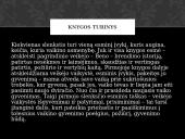 Laura Sintija Černiauskaitė "Benedikto slenksčiai" 13 puslapis