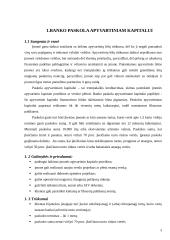Banko paskolos apyvartiniam kapitalui papildyti. Kredito linija 3 puslapis