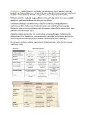 Pagrindinės politinės doktrinos 2 puslapis