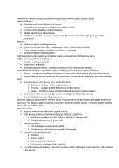 Virškinimo teorinė medžiaga 3 puslapis