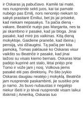 "Niujorko Respublika" - aprašymas 7 puslapis