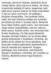 "Niujorko Respublika" - aprašymas 8 puslapis