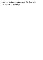 "Niujorko Respublika" - aprašymas 9 puslapis