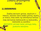 Žodžių junginys 4 puslapis