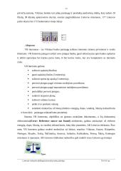 Bankų apžvalga Lietuvoje 12 puslapis