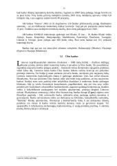 Bankų apžvalga Lietuvoje 15 puslapis