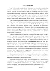 Bankų apžvalga Lietuvoje 4 puslapis