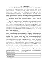 Bankų apžvalga Lietuvoje 5 puslapis