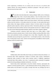 Bankų apžvalga Lietuvoje 9 puslapis