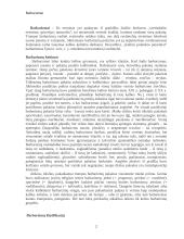 Barbarizmai 2 puslapis