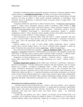 Barbarizmai 3 puslapis