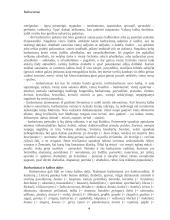 Barbarizmai 4 puslapis