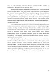 Instrumentinio muzikavimo ypatumai 5 – 8  klasių muzikos pamokose 9 puslapis