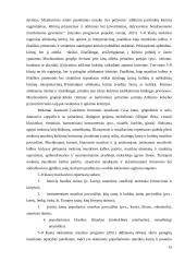 Instrumentinio muzikavimo ypatumai 5 – 8  klasių muzikos pamokose 12 puslapis