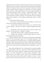 Instrumentinio muzikavimo ypatumai 5 – 8  klasių muzikos pamokose 13 puslapis