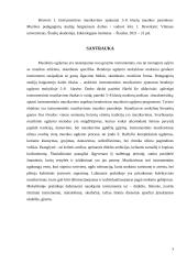 Instrumentinio muzikavimo ypatumai 5 – 8  klasių muzikos pamokose 2 puslapis