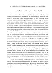 Instrumentinio muzikavimo ypatumai 5 – 8  klasių muzikos pamokose 5 puslapis