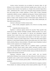 Instrumentinio muzikavimo ypatumai 5 – 8  klasių muzikos pamokose 6 puslapis