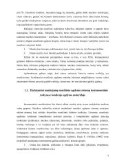 Instrumentinio muzikavimo ypatumai 5 – 8  klasių muzikos pamokose 7 puslapis