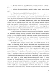 Instrumentinio muzikavimo ypatumai 5 – 8  klasių muzikos pamokose 8 puslapis