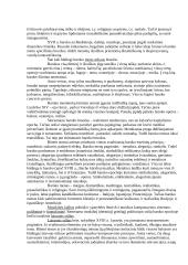 Baroko muzikos stiliaus raida 3 puslapis