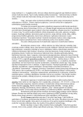 Baroko muzikos stiliaus raida 4 puslapis