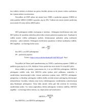 “Vilkiškių pieninės” pardavimų analizė 9 puslapis