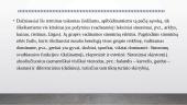 Kas yra sinonimai? 3 puslapis