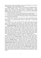 Didysis kraujo apytakos ratas 3 puslapis