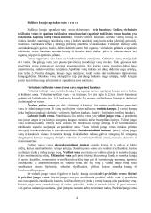 Didysis kraujo apytakos ratas 4 puslapis