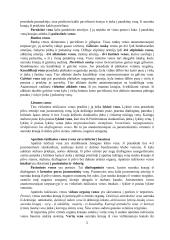 Didysis kraujo apytakos ratas 5 puslapis