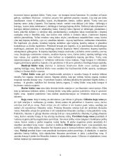 Didysis kraujo apytakos ratas 6 puslapis