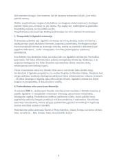 G. Hofstede kultūrų matavimo teorija 3 puslapis