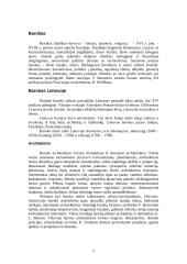 Barokinio meno savitumai Lietuvoje 3 puslapis