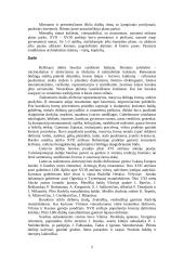 Barokinio meno savitumai Lietuvoje 5 puslapis