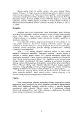 Barokinio meno savitumai Lietuvoje 6 puslapis