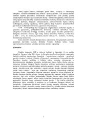 Barokinio meno savitumai Lietuvoje 7 puslapis