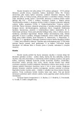 Barokinio meno savitumai Lietuvoje 8 puslapis