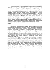 Barokinio meno savitumai Lietuvoje 9 puslapis