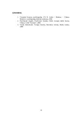 Barokinio meno savitumai Lietuvoje 10 puslapis