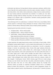 Suomijos ir Saudo Arabijos analizė pagal E. T. Hall, R. D. Lewis ir G. Hofstede kultūrų grupavimo teorijas 3 puslapis