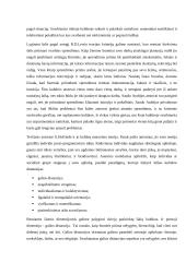 Suomijos ir Saudo Arabijos analizė pagal E. T. Hall, R. D. Lewis ir G. Hofstede kultūrų grupavimo teorijas 4 puslapis