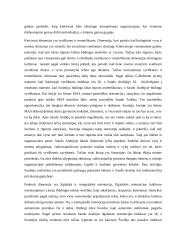 Suomijos ir Saudo Arabijos analizė pagal E. T. Hall, R. D. Lewis ir G. Hofstede kultūrų grupavimo teorijas 8 puslapis