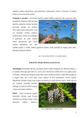 Invazinės rūšys Lietuvoje 5 puslapis
