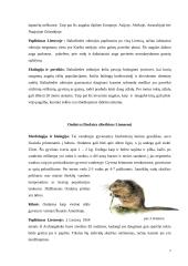 Invazinės rūšys Lietuvoje 6 puslapis