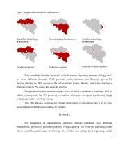 Belgija - Europos Sąjungos valstybė 4 puslapis