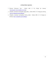 Belgija - Europos Sąjungos valstybė 10 puslapis