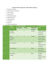 Rizikos valdymas UAB „Gėlių verslas“ 4 puslapis