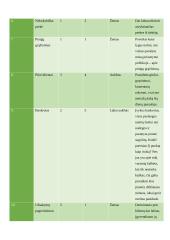 Rizikos valdymas UAB „Gėlių verslas“ 5 puslapis